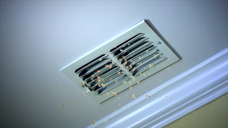 Best Ductwork Cleaning Services  in Lady Lake, FL