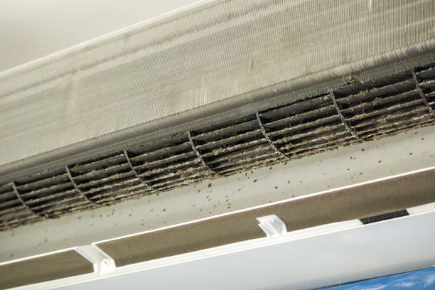 Best Affordable Air Duct Cleaning  in Lady Lake, FL
