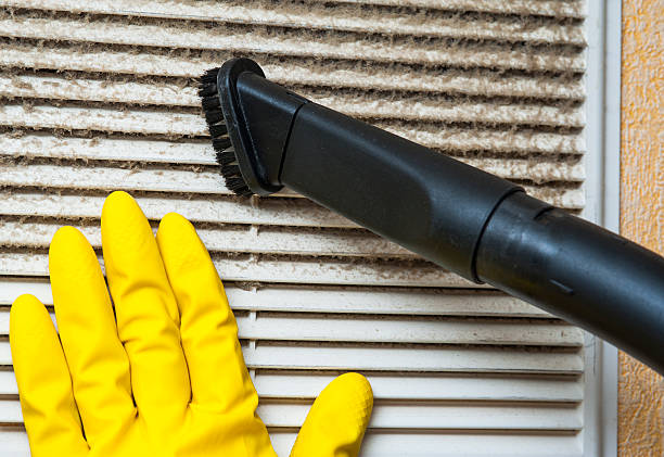 Best Affordable Duct Cleaning Services  in Lady Lake, FL
